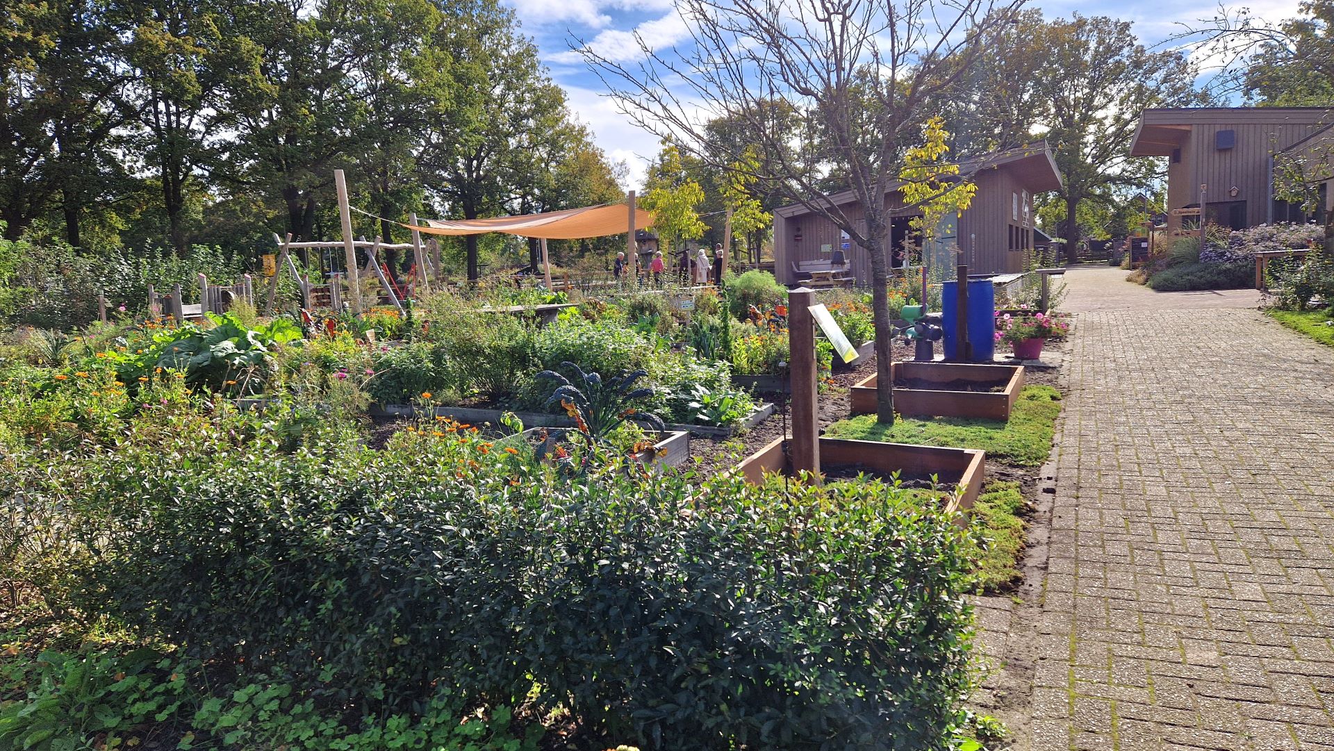 BalkIn dec. 2024.jpg